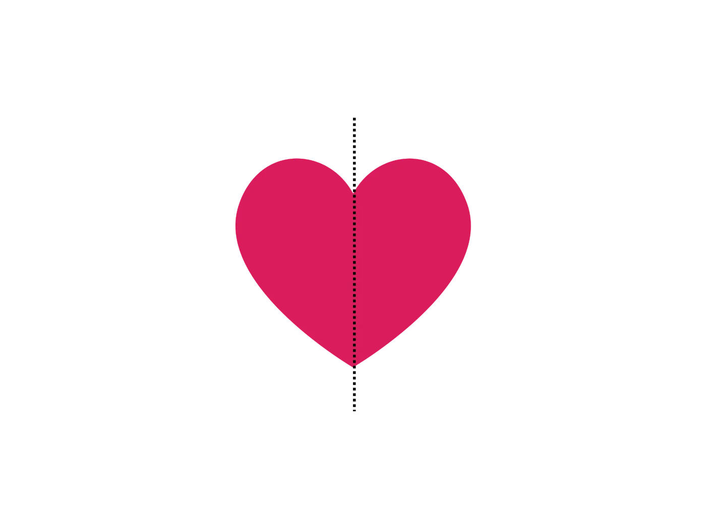 Heart bisected by its line of symmetry