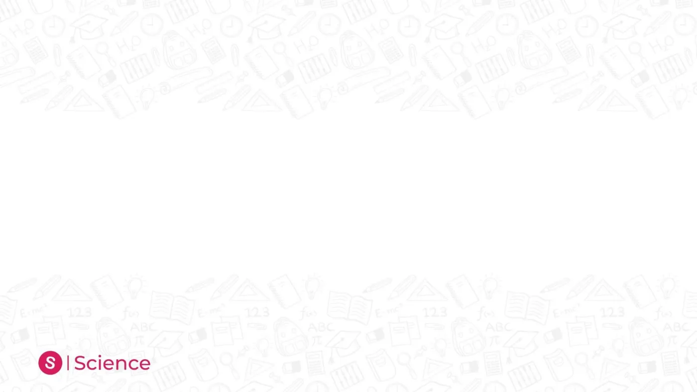 Numbers in Words — 100 to 1000 — page 5 of 5
