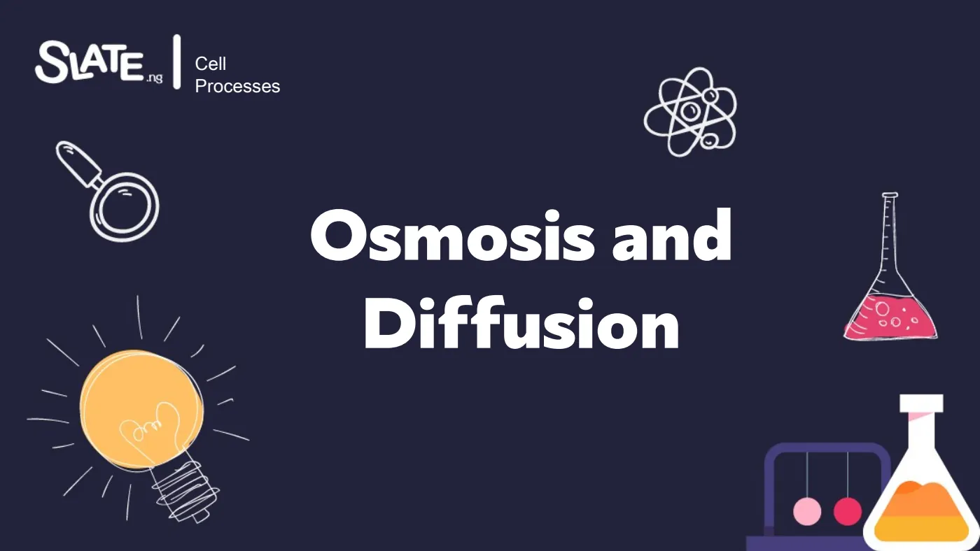 Osmosis and Diffusion — page 1 of 12