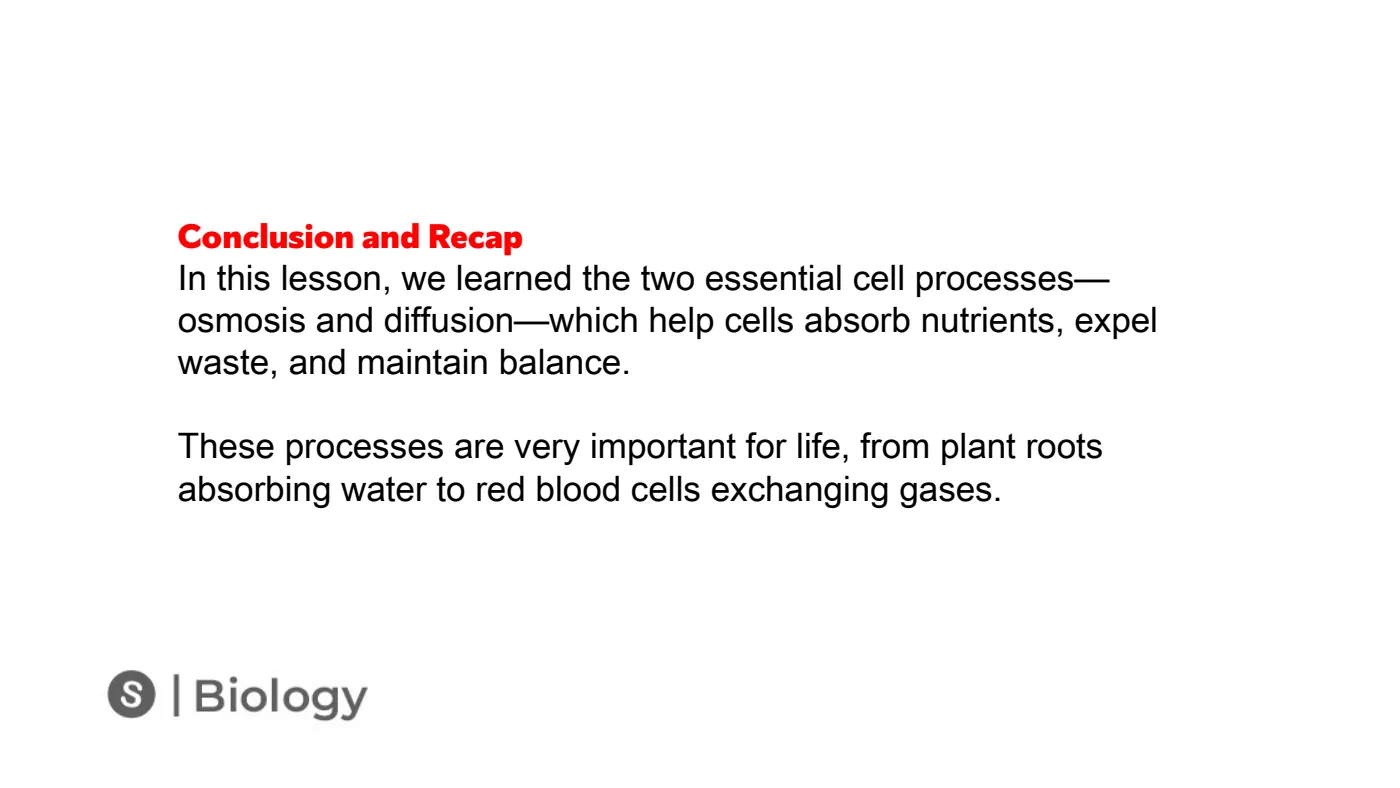 Osmosis and Diffusion — page 12 of 12