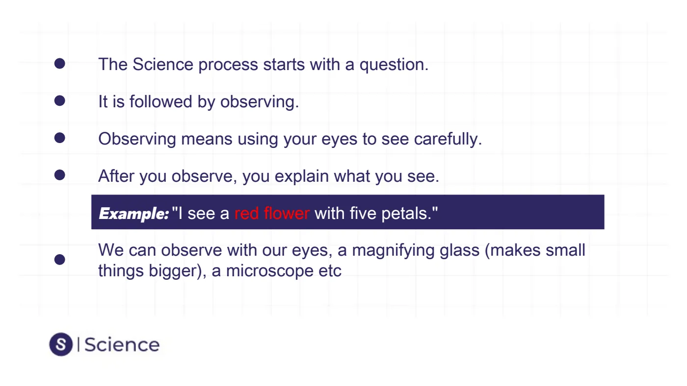 Introduction to Science Skills — page 13 of 28