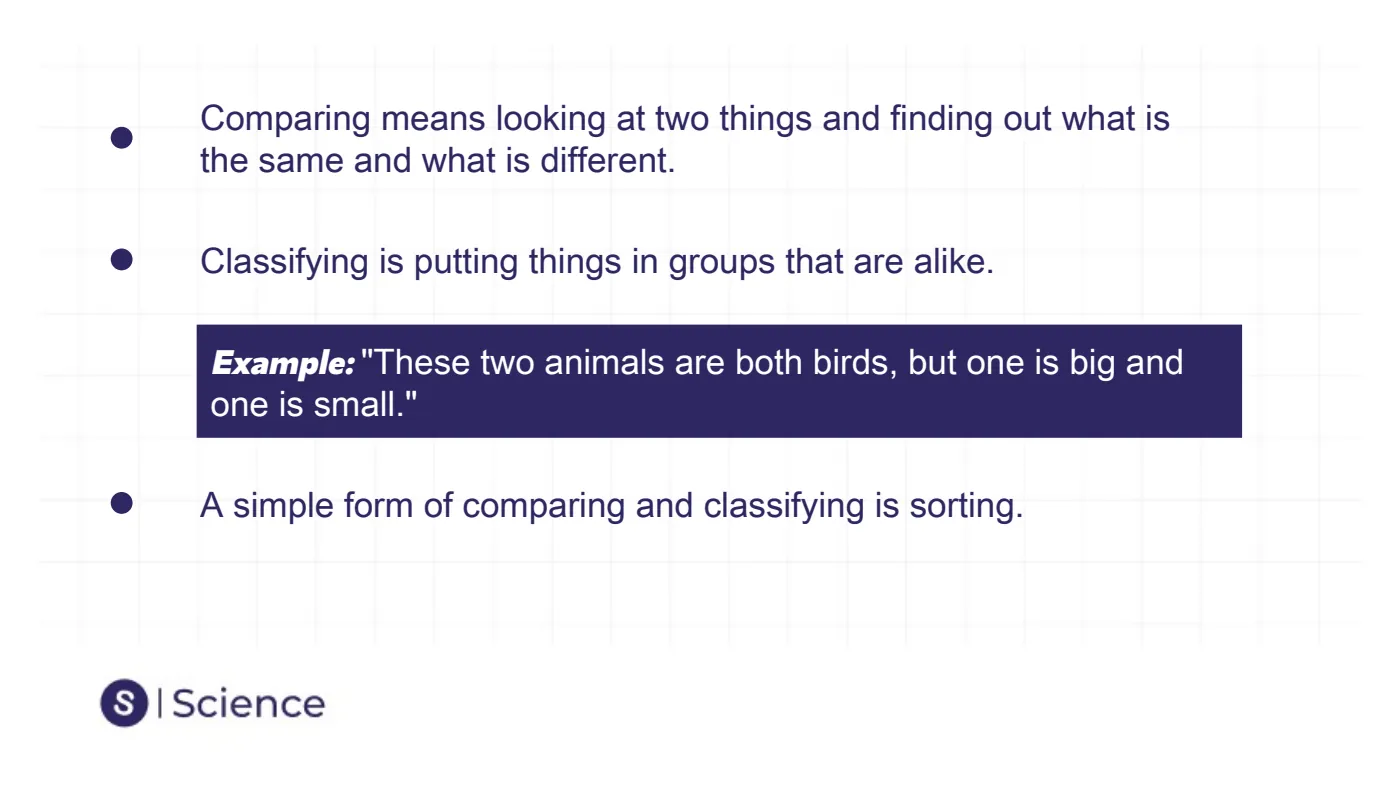 Introduction to Science Skills — page 19 of 28