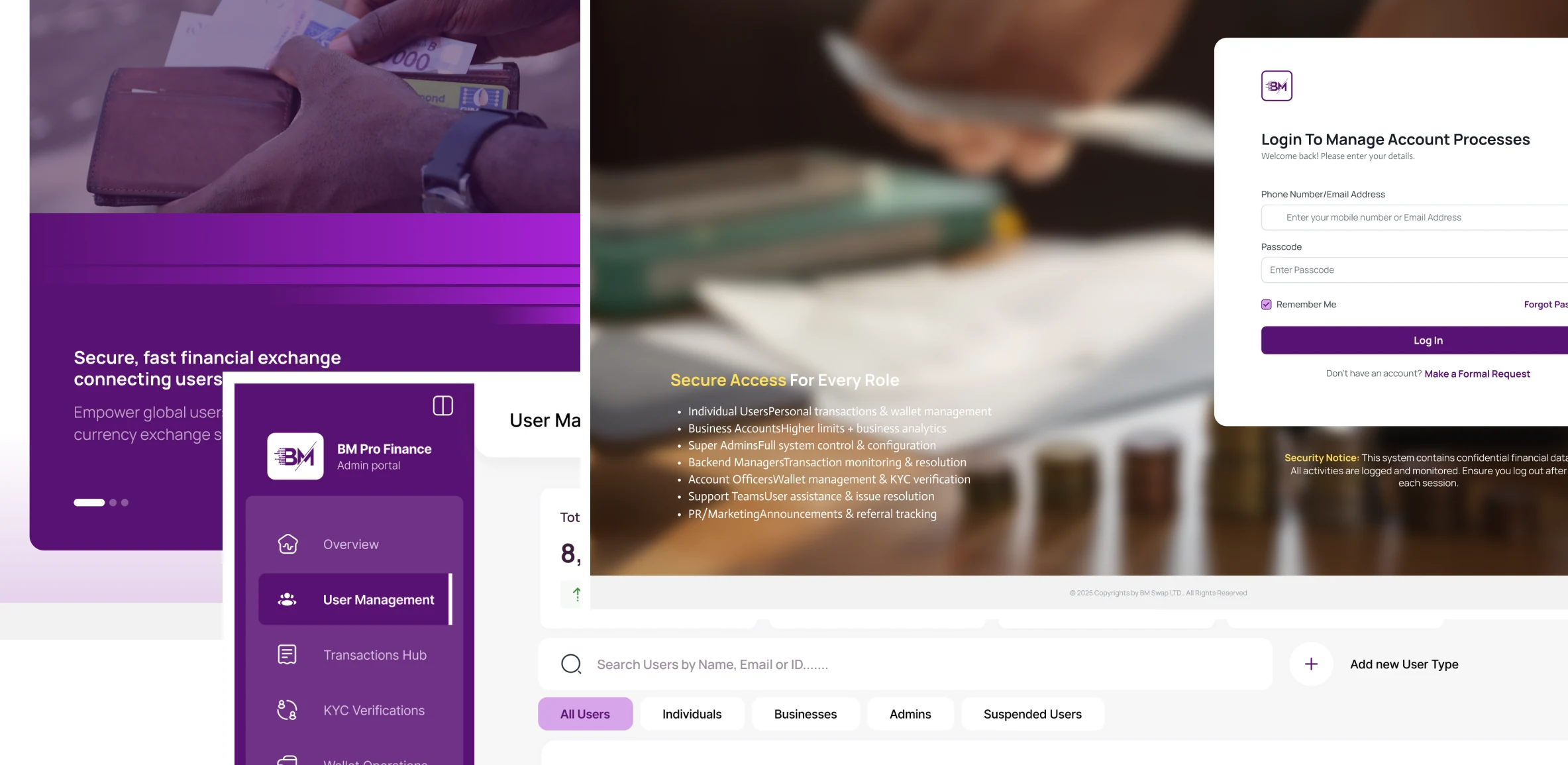 BM Pro Finance multi-currency platform design